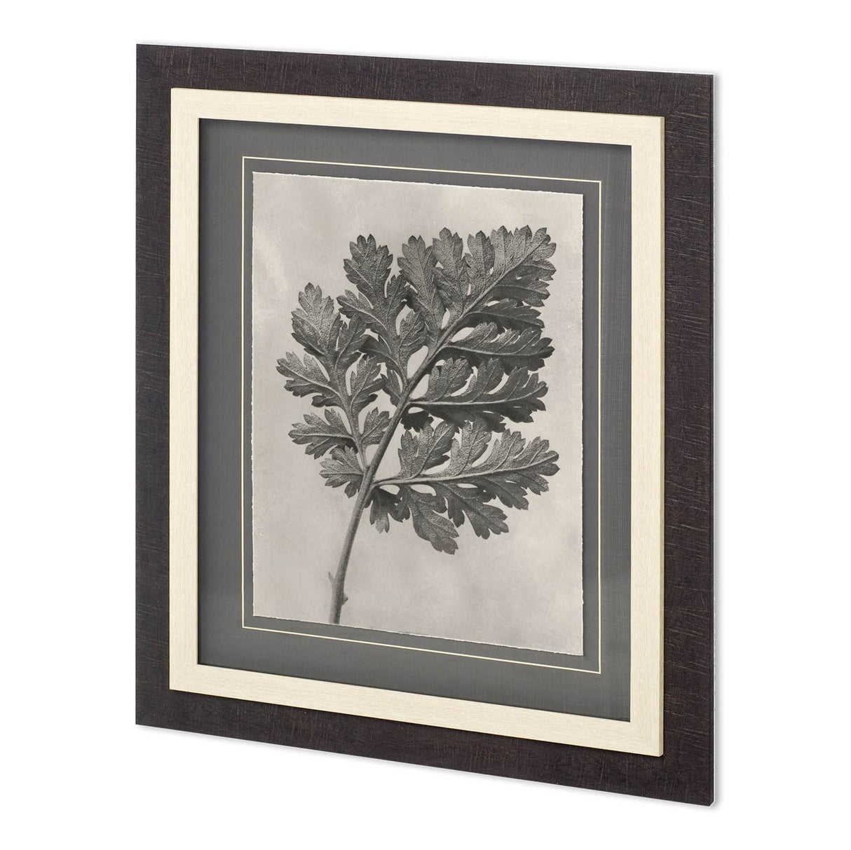 Custom Blossfeldt Botanical III Karl Blossfeldt Hand Embellished Framed Art Print Matted under Glass by Mercana at Eve Furniture