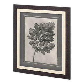 Custom Blossfeldt Botanical III Karl Blossfeldt Hand Embellished Framed Art Print Matted under Glass by Mercana at Eve Furniture
