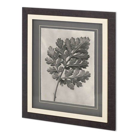 Custom Blossfeldt Botanical III Karl Blossfeldt Hand Embellished Framed Art Print Matted under Glass by Mercana at Eve Furniture