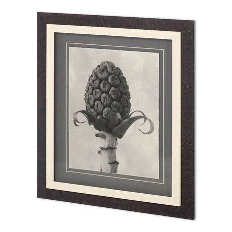 Custom Blossfeldt Botanical IV Karl Blossfeldt Hand Embellished Framed Art Print Matted under Glass by Mercana at Eve Furniture