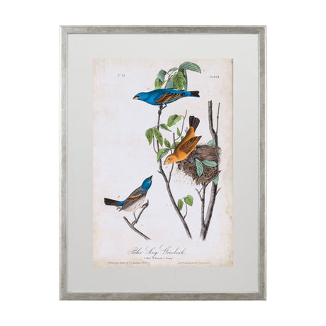 Custom Blue Song Grosbeak (MC) by Audubon a Framed Art Print Matted under Glass by Mercana at Eve Furniture