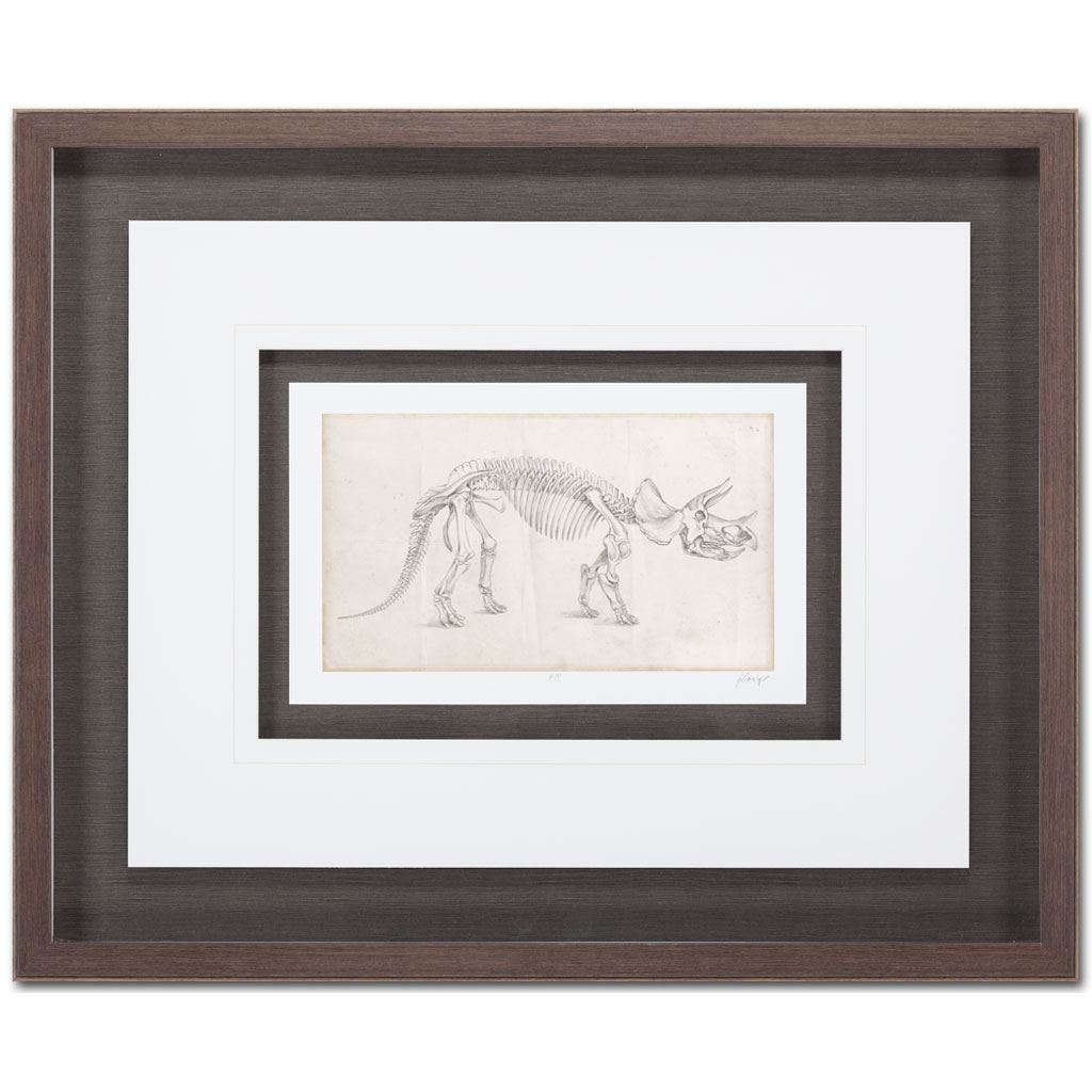 Custom Dinosaur Study II (MC) by Harper, Ethan a Framed Art Print Matted under Glass by Mercana at Eve Furniture