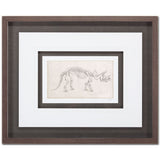 Custom Dinosaur Study II (MC) by Harper, Ethan a Framed Art Print Matted under Glass by Mercana at Eve Furniture