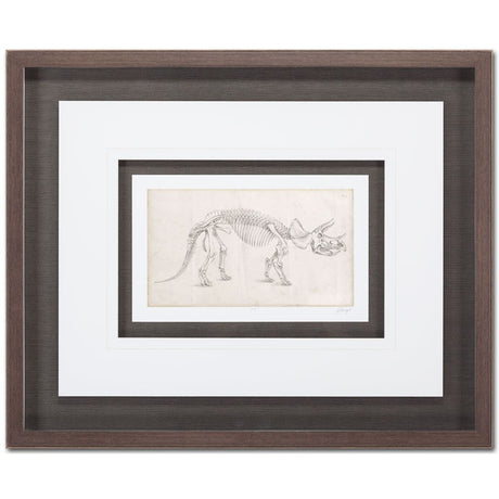 Custom Dinosaur Study II (MC) by Harper, Ethan a Framed Art Print Matted under Glass by Mercana at Eve Furniture