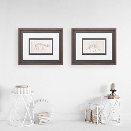 Custom Dinosaur Study II (MC) by Harper, Ethan a Framed Art Print Matted under Glass by Mercana at Eve Furniture