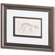 Custom Dinosaur Study II (MC) by Harper, Ethan a Framed Art Print Matted under Glass by Mercana at Eve Furniture