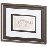 Custom Dinosaur Study II (MC) by Harper, Ethan a Framed Art Print Matted under Glass by Mercana at Eve Furniture