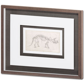 Custom Dinosaur Study II (MC) by Harper, Ethan a Framed Art Print Matted under Glass by Mercana at Eve Furniture