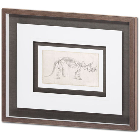 Custom Dinosaur Study II (MC) by Harper, Ethan a Framed Art Print Matted under Glass by Mercana at Eve Furniture