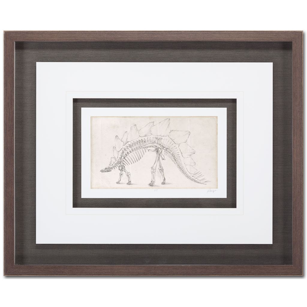 Custom Dinosaur Study III (MC) by Harper, Ethan a Framed Art Print Matted under Glass by Mercana at Eve Furniture