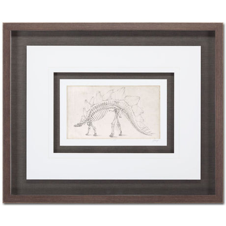 Custom Dinosaur Study III (MC) by Harper, Ethan a Framed Art Print Matted under Glass by Mercana at Eve Furniture