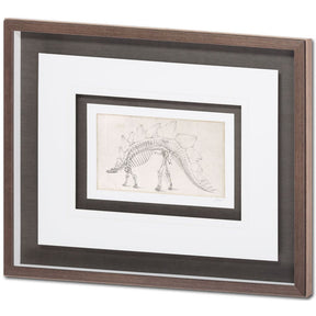 Custom Dinosaur Study III (MC) by Harper, Ethan a Framed Art Print Matted under Glass by Mercana at Eve Furniture