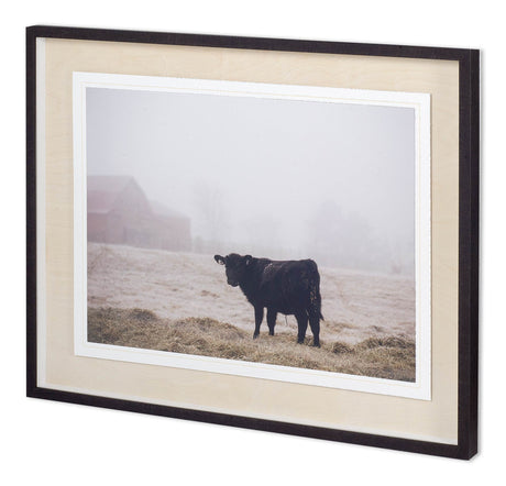 Custom Farm Study II by Adam Mead a Framed Photo Art Print Matted under Glass by Mercana at Eve Furniture