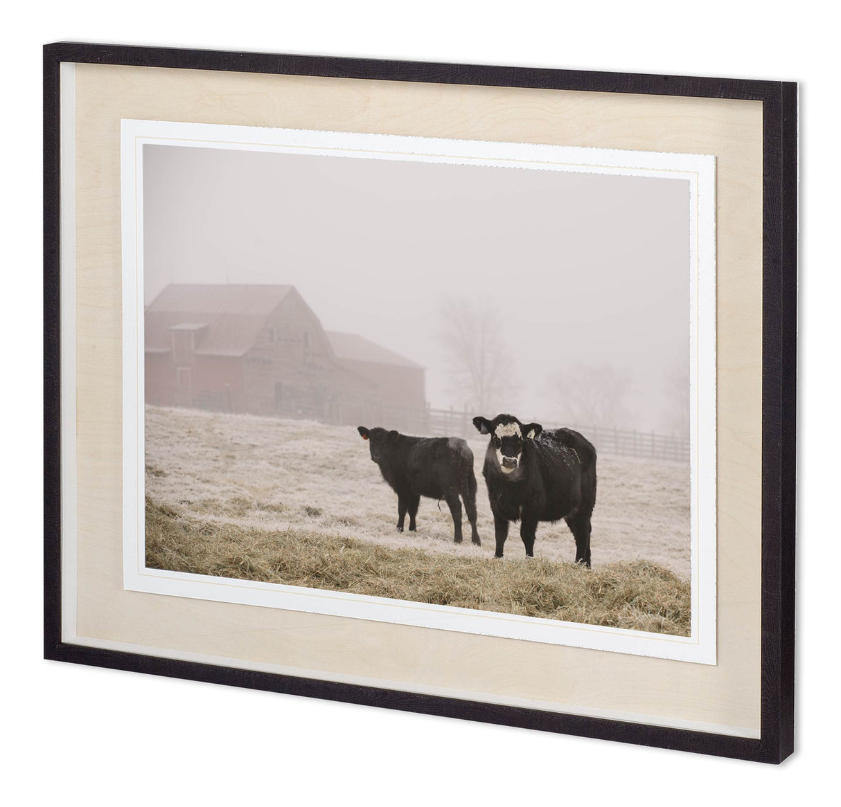 Custom Farm Study III by Adam Mead a Framed Photo Art Print Matted under Glass by Mercana at Eve Furniture