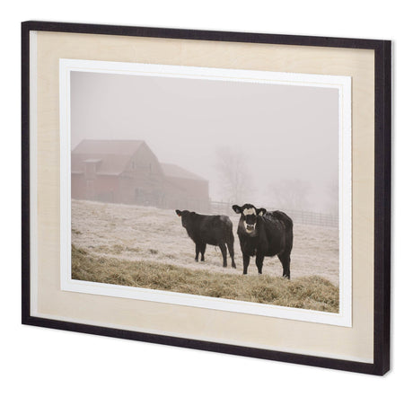 Custom Farm Study III by Adam Mead a Framed Photo Art Print Matted under Glass by Mercana at Eve Furniture