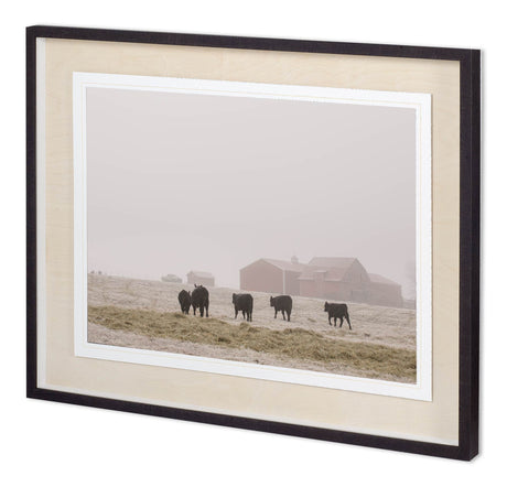Custom Farm Study IV by Adam Mead a Framed Photo Art Print Matted under Glass by Mercana at Eve Furniture