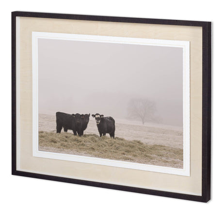 Custom Farm Study V by Adam Mead a Framed Photo Art Print Matted under Glass by Mercana at Eve Furniture