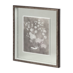 Custom Herbarium Study I by Vision Studio Hand Embellished Framed Art Print Matted under Glass by Mercana at Eve Furniture