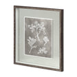 Custom Herbarium Study II by Vision Studio Hand Embellished Framed Art Print Matted under Glass by Mercana at Eve Furniture