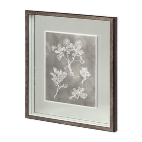 Custom Herbarium Study II by Vision Studio Hand Embellished Framed Art Print Matted under Glass by Mercana at Eve Furniture