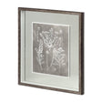 Custom Herbarium Study III by Vision Studio Hand Embellished Framed Art Print Matted under Glass by Mercana at Eve Furniture