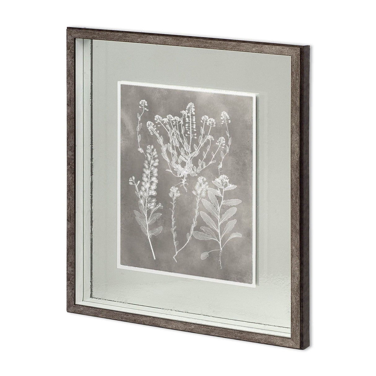 Custom Herbarium Study III by Vision Studio Hand Embellished Framed Art Print Matted under Glass by Mercana at Eve Furniture