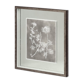 Custom Herbarium Study IV by Vision Studio Hand Embellished Framed Art Print Matted under Glass by Mercana at Eve Furniture