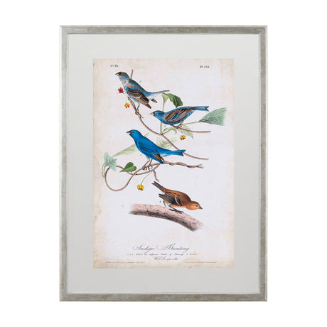 Custom Indigo Bunting (MC) by Audubon a Framed Art Print Matted under Glass by Mercana at Eve Furniture