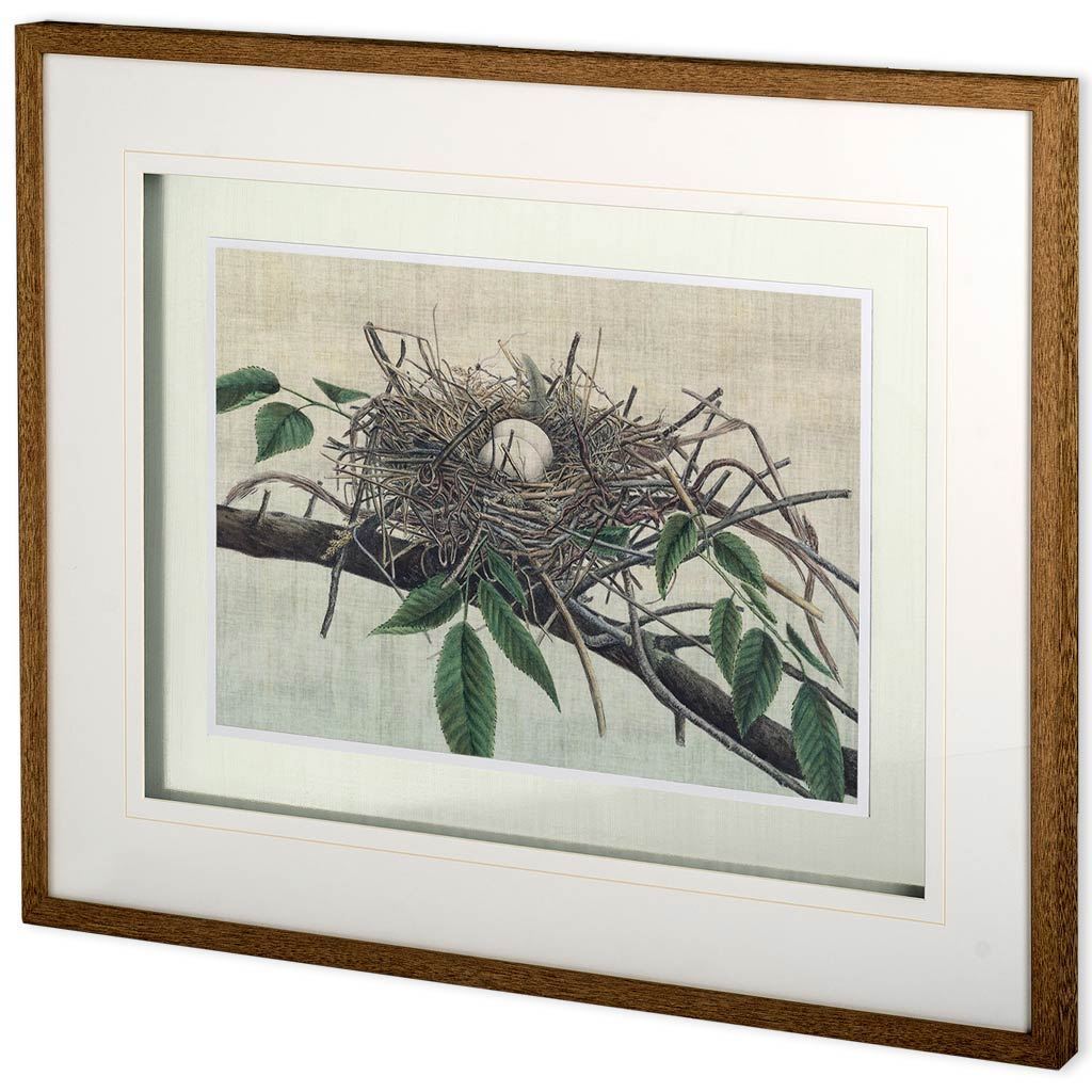Custom Nesting III (MC) by John Butler Hand Embellished Textured Framed Art Print Matted under Glass by Mercana at Eve Furniture