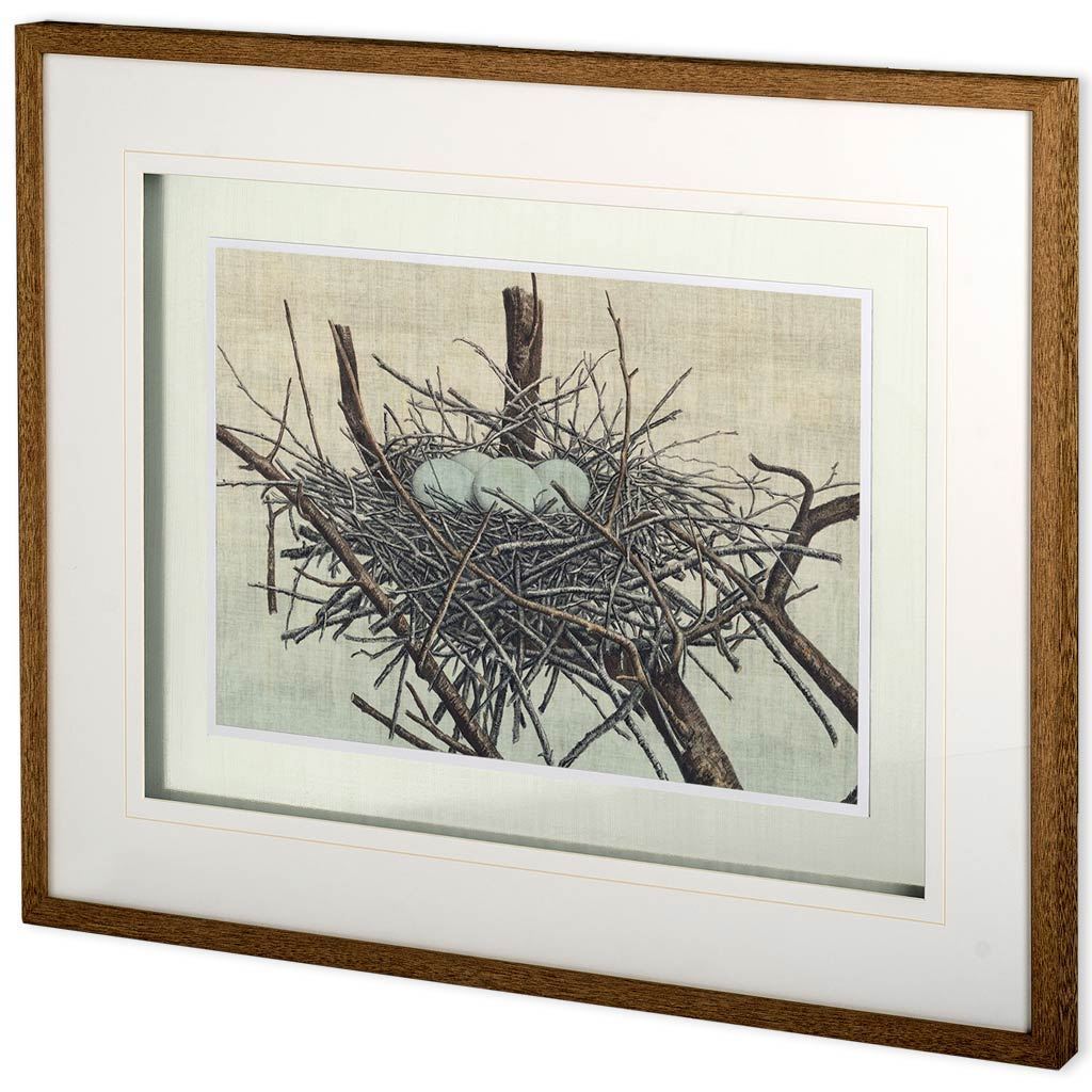 Custom Nesting IV (MC) by John Butler Hand Embellished Textured Framed Art Print Matted under Glass by Mercana at Eve Furniture