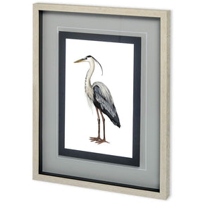 Custom Sea Bird I by Grace Popp a Framed Art Print Matted under Glass by Mercana at Eve Furniture