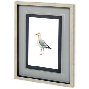 Custom Sea Bird II by Grace Popp a Framed Art Print Matted under Glass by Mercana at Eve Furniture