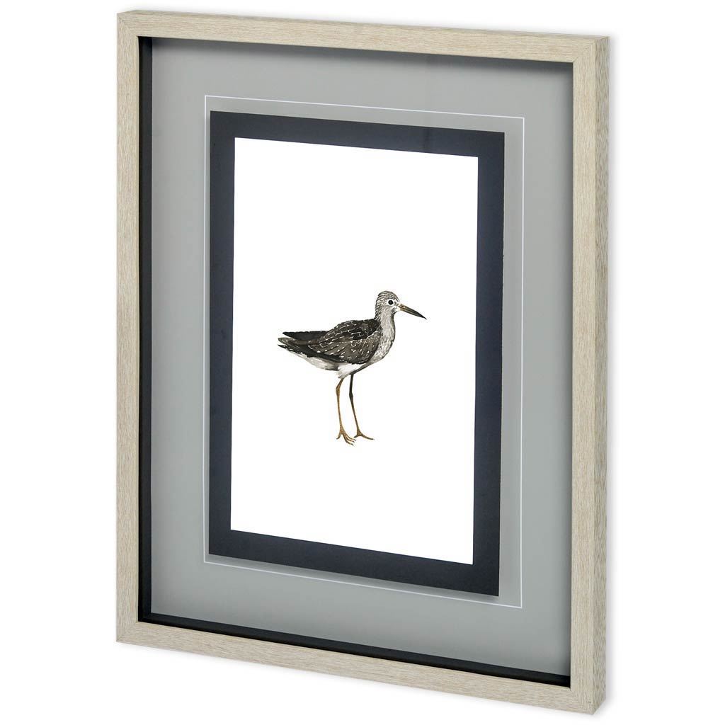 Custom Sea Bird III by Grace Popp a Framed Art Print Matted under Glass by Mercana at Eve Furniture