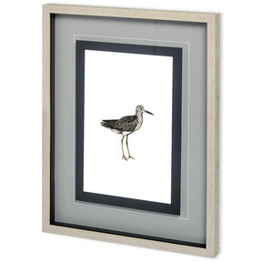 Custom Sea Bird III by Grace Popp a Framed Art Print Matted under Glass by Mercana at Eve Furniture