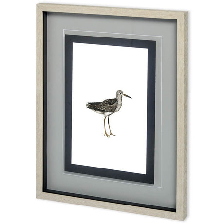 Custom Sea Bird III by Grace Popp a Framed Art Print Matted under Glass by Mercana at Eve Furniture