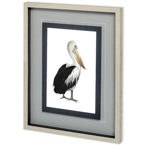 Custom Sea Bird IV by Grace Popp a Framed Art Print Matted under Glass by Mercana at Eve Furniture