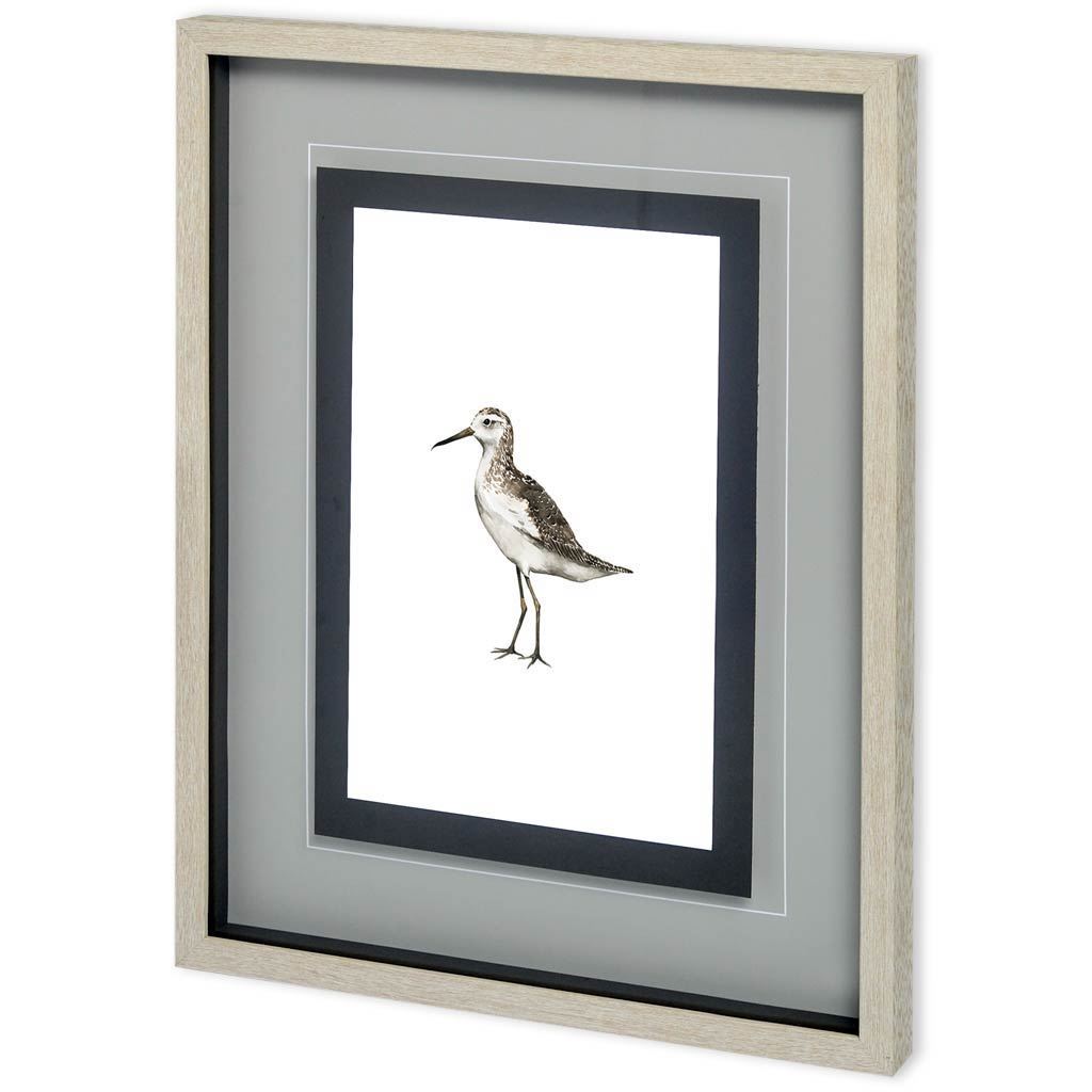 Custom Sea Bird VI by Grace Popp a Framed Art Print Matted under Glass by Mercana at Eve Furniture