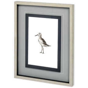 Custom Sea Bird VI by Grace Popp a Framed Art Print Matted under Glass by Mercana at Eve Furniture