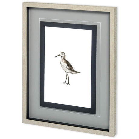 Custom Sea Bird VI by Grace Popp a Framed Art Print Matted under Glass by Mercana at Eve Furniture