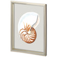 Custom Spider Conch by Maleki, Ferdos a Framed Art Print Matted under Glass by Mercana at Eve Furniture