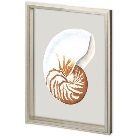 Custom Spider Conch by Maleki, Ferdos a Framed Art Print Matted under Glass by Mercana at Eve Furniture