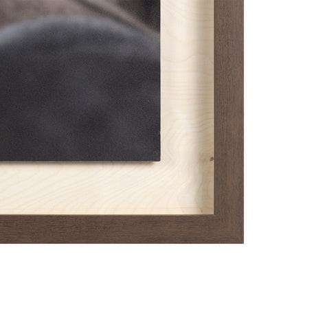 Custom White Horses (MC) by PH Burchett a Hand Embelished Textured Framed Photo Art Decograph by Mercana at Eve Furniture