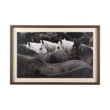 Custom White Horses (MC) by PH Burchett a Hand Embelished Textured Framed Photo Art Decograph by Mercana at Eve Furniture