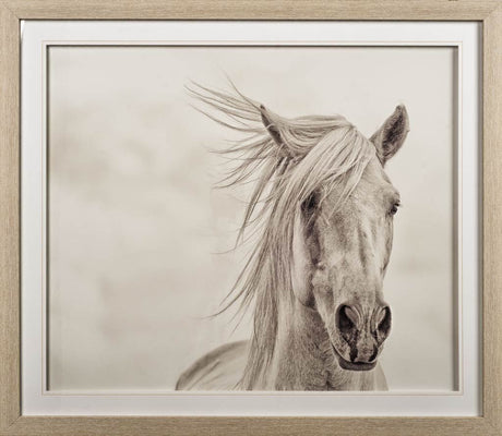 Custom Wind Blown Mane I (MC) by PHBurchett a Framed Photo Art Print Matted under Glass by Mercana at Eve Furniture