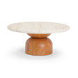 Cynthia 36" Faux Travertine Concrete Indoor/Outdoor Coffee Table by TOV Furniture at Eve Furniture
