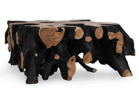 Cypress Root Black/Natural Square Coffee Table by Classic Home at Eve Furniture