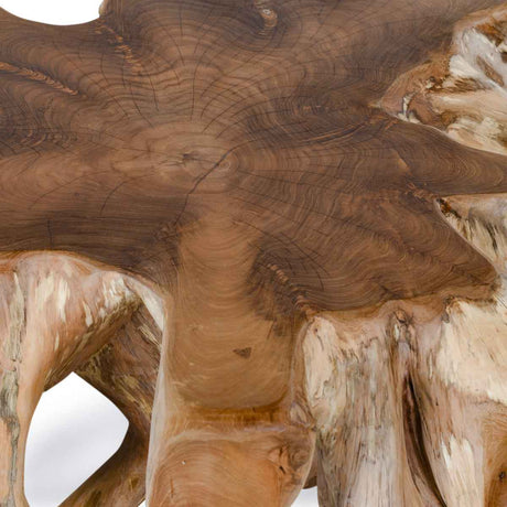 Cypress Root Natural Coffee Table by Classic Home at Eve Furniture