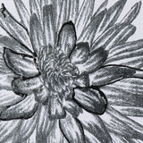 Dahlia Study - Detail by Mercana Studio Hand Embellished Textured Framed Art Photo Matted under Glas by Mercana at Eve Furniture