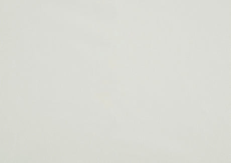 Daisy White/Dark Brown Side Chair, Set of 2 by Homelegance at Eve Furniture