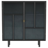 Dalia Black 2-Door Accent Storage Cabinet with Shelving